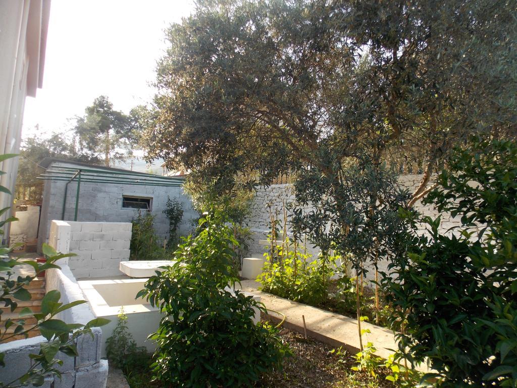 Guest House Vila Bega Sarandë 外观 照片