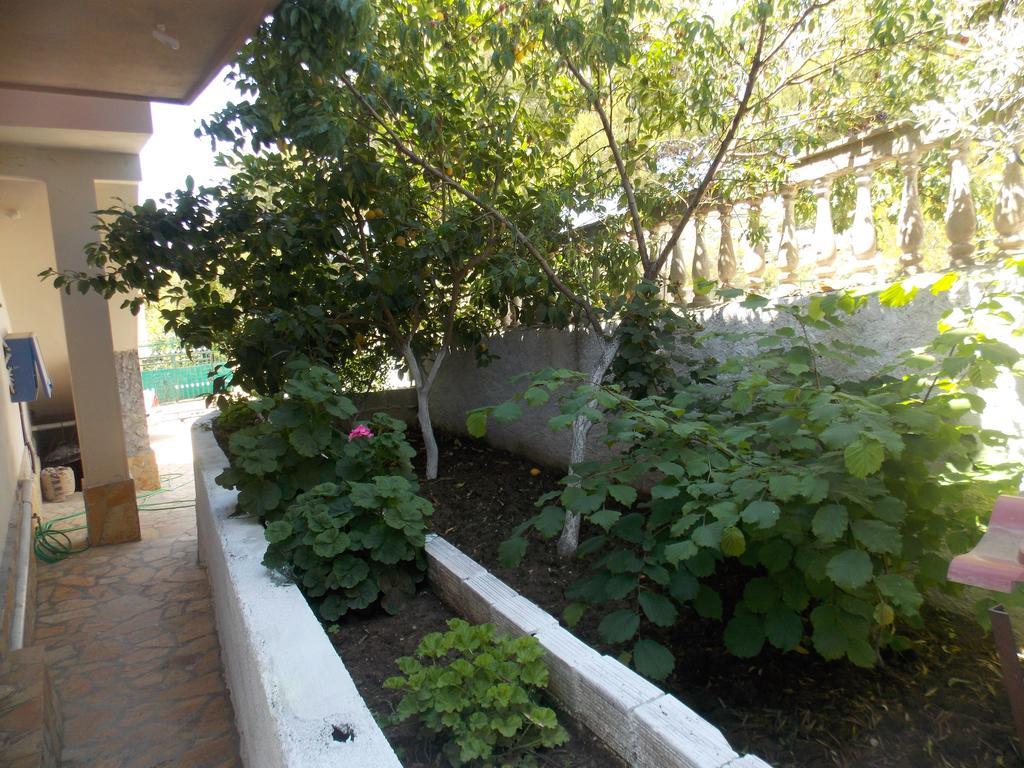 Guest House Vila Bega Sarandë 外观 照片